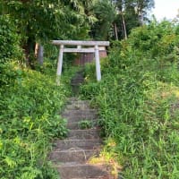 母之理主（モノリス）よ　応答　せよ