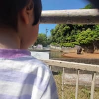東山動植物園へお散歩