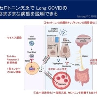 COVID-19から脳を守る必要がある＠日本認知症学会，札幌市医師会講演会