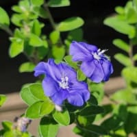 15年間の感謝をこめて・・・最終回