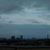 5月31日　今日の写真　アジサイ　