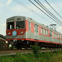 夕方は メモリアルトレイン撮影