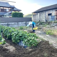 6月18日（水）