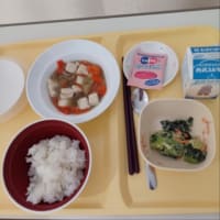 今日の朝食