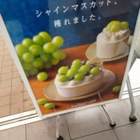 わ〜お♡