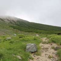 白山ハイキング　意外と涼しい山旅でした♪