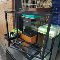 中古 GEX 60×30用スチール二段台 アクアラックスチール600BK