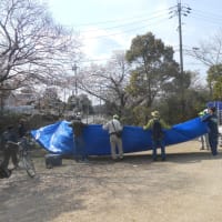 お花見　第3公園