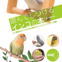 遊んでしつけるインコの本