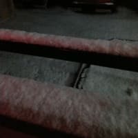 初雪