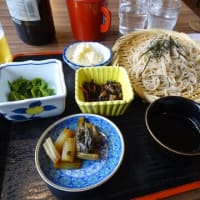 鶏肉とピーマン中華炒めのお弁当と、塩の道（白馬編）2日目
