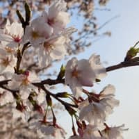 今日いち-2025年4月7日