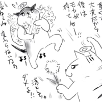 ふわふわボール似