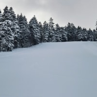 今年も宜しくお願いします