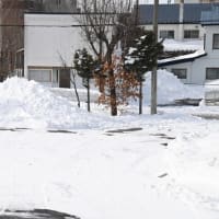彼岸荒れからの帰宅