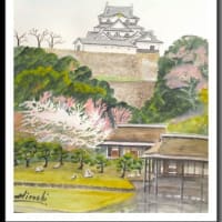 2025年、前半期の描いた水彩画　