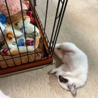 時間の問題？