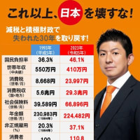 【国民全員必見】2025年7月20日参議院選挙！落選させよ！売国財務省議員！キシキン解説