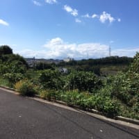 台風一過で夏日