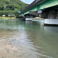 前回の南伊豆への釣り旅を振り返って。