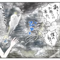 人魚ちゃんの恋バナ57