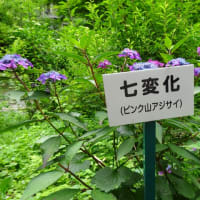 久々の更新