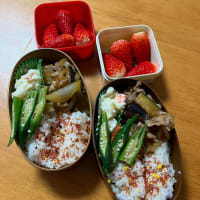 たまには弁当でも。