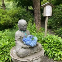 鎌倉散歩明月院