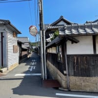 直島・つつじ荘ランチと黄かぼちゃと隣り町で迷子⁈