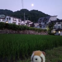 夜のお散歩１…
