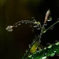 雨滴