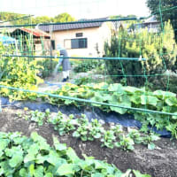 6月19日(木)②