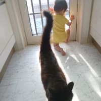 １人と１匹。