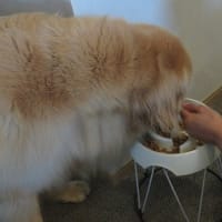 週末のレストランは当日予約は無理だった件