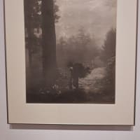 博物館浴（東京都写真美術館「総合開館30周年記念TOPコレクション　不易流行」）