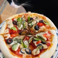 本日の猫様