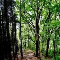 一言だけのお願い-大阪府千早赤阪村：金剛山