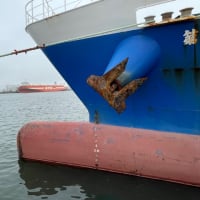 港で大きな船を見た