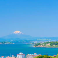 mt. fuji and enoshima island