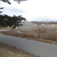 西国街道（京都～西宮）のほんの一部を歩いてみました。