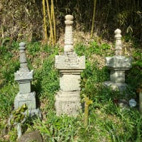 三村家親の災難