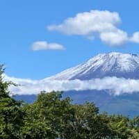 新しいブログへの移動方法