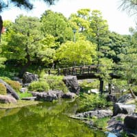 林へ行こう