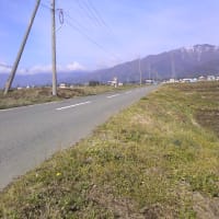 田舎道を往く