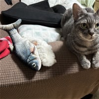 じょゆうだましいｗ