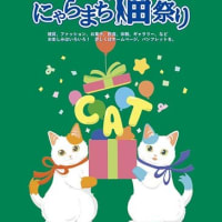 6月の奈良と言えば「にゃらまち猫まつり」 @nara_mise