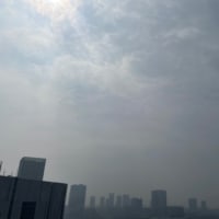 7/7の朝の空