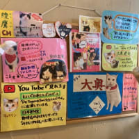 【アドカレ】俺たちのFediverseはこれからだ【2023】