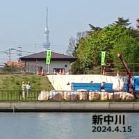 新中川 (4月15日 ) 季節外れ釣行！
