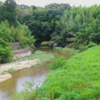 川風に乗って